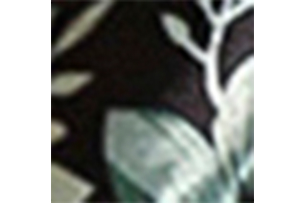 Women's Summer Black Printed Bow Decoration Open Toe Round Head Thick Heel Sandals Elegant Style