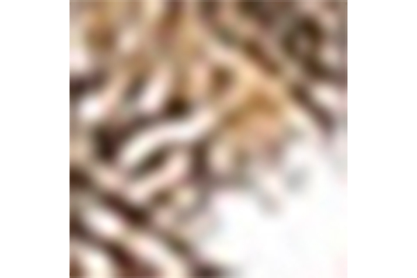 Women's Summer Golden Flower Decoration Open Toe Square Head Thick Heel Sandals Fashion Style