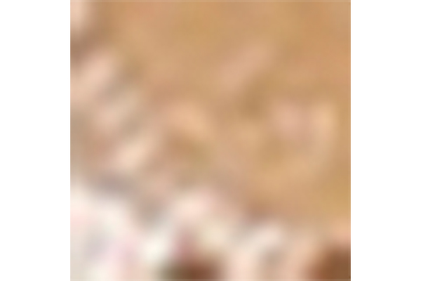 Women's Summer Gold Colored Gemstone Decoration Open Toe Round Head Thick Heel Sandals Fashion Style
