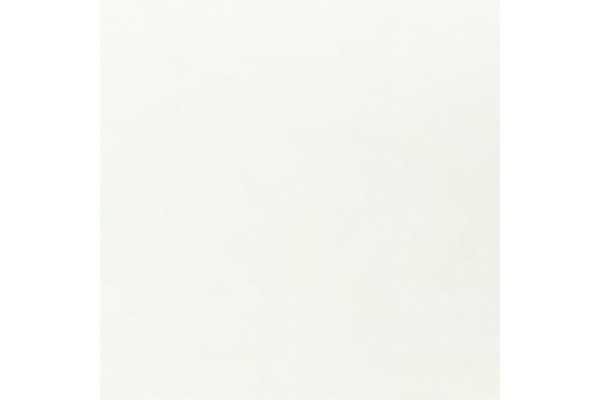 Women's Bow-decorated Side Zipper Thick Heel Square Toe Short Boots Elegant Style Autumn and Winter White Boots
