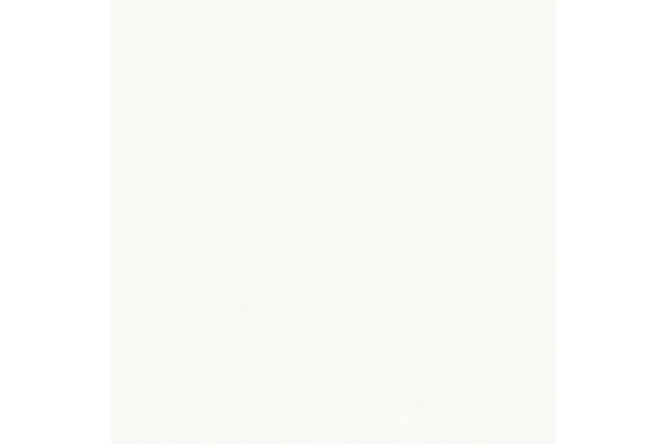 Women's Large Bow Decoration Side Zipper Thick Heel Pointed Toe Short Boots Elegant Style Autumn and Winter White Boots